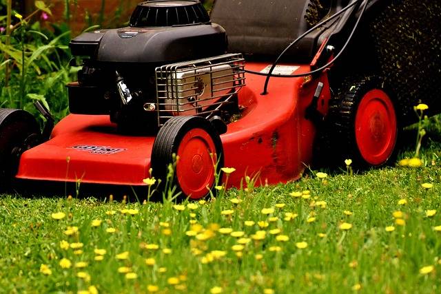 tondeuses de jardin