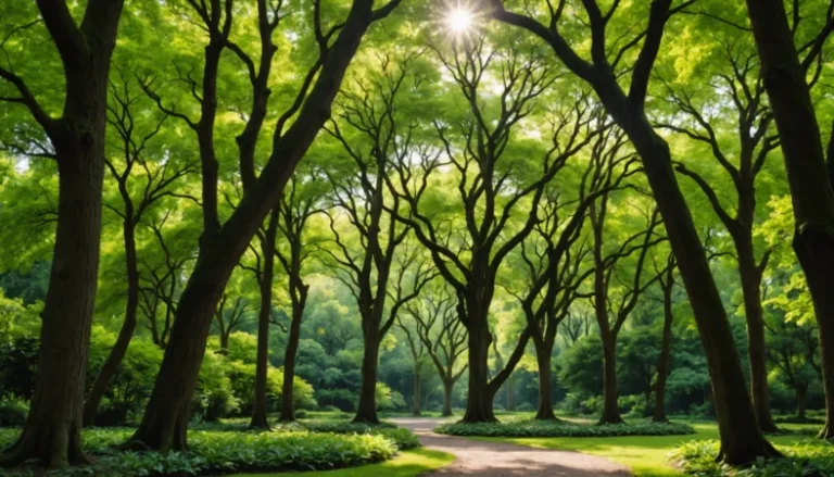 arbre persistant étroit et haut