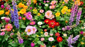 fleur à planter en avril