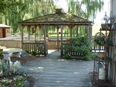 Les_intérêts_d’avoir_une_pergola_dans_son_jardin